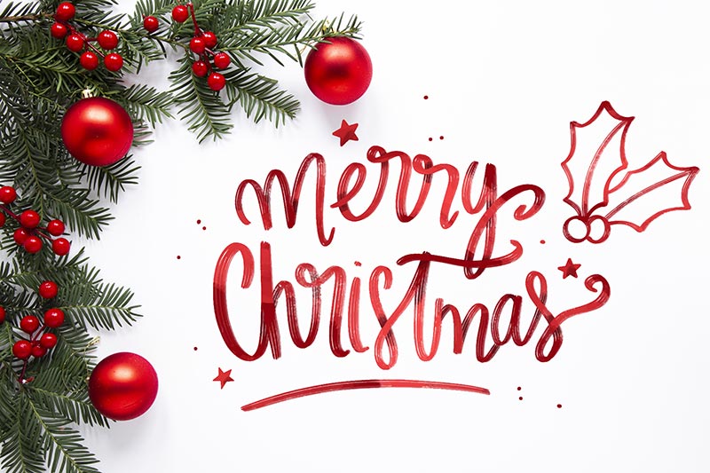Merry Christmas and Happy New Year to all of our friends